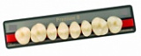 Зубы Premium 8 цвет D3 фасон M верх