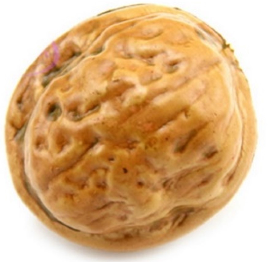 GBT training tool kit-тренировочный набор